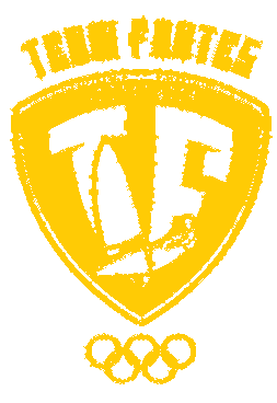 Team Fontes logo